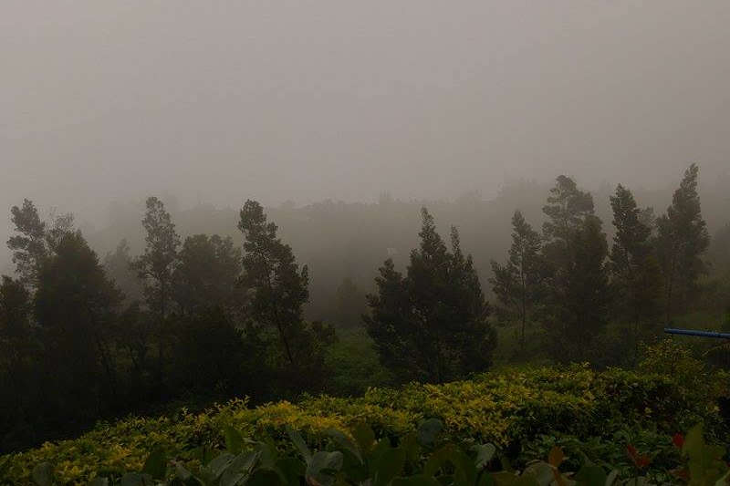 saint-paul-guillaume-brouillard-la-reunion