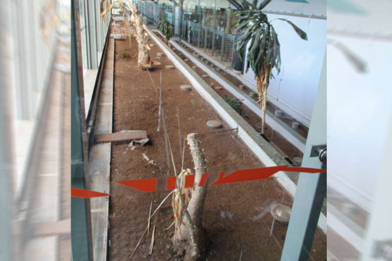 aeroport-roland-garros-la-reunion