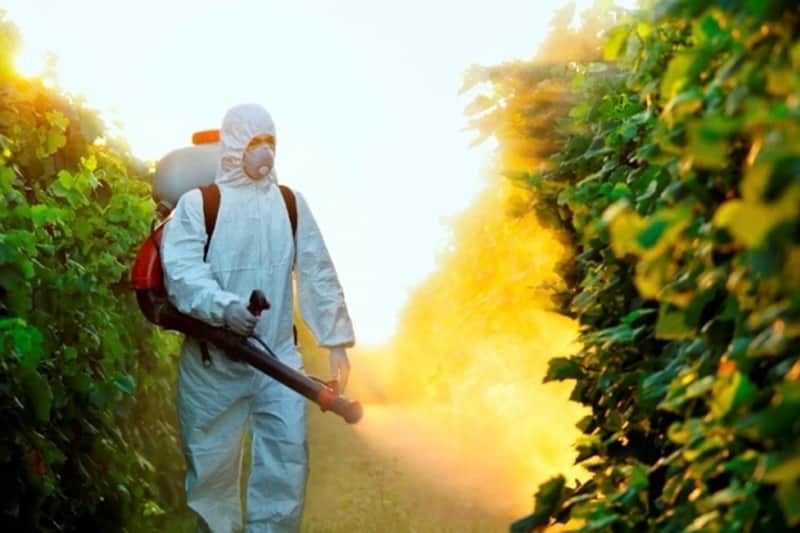 pesticides-fruits-legumes-reunion