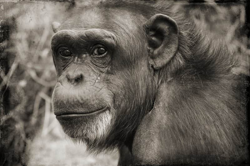 zoo-du-chaudron