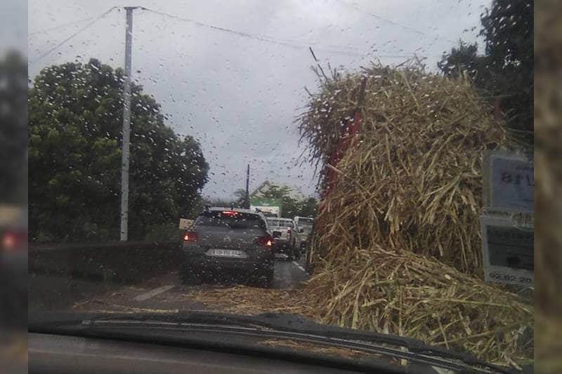 chargement-canne-la-reunion