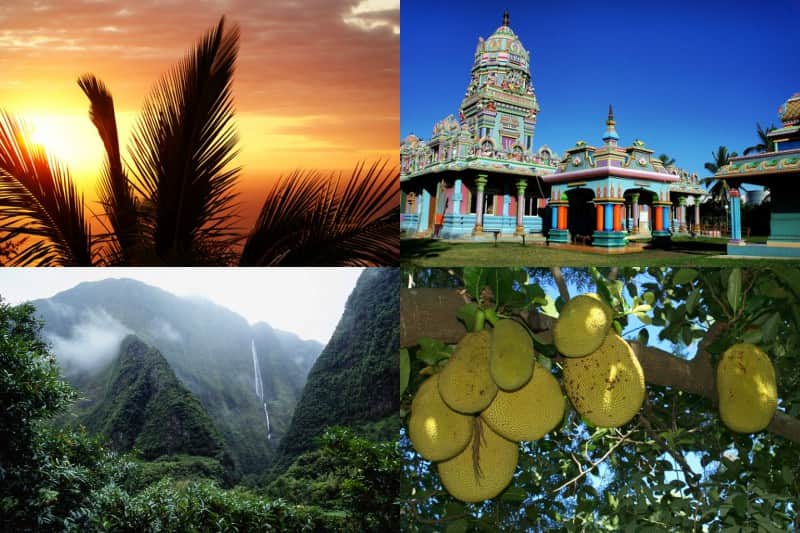 merveilles-de-la-reunion