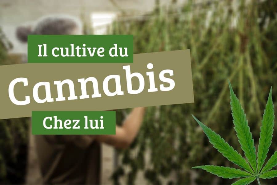 Il cultive du