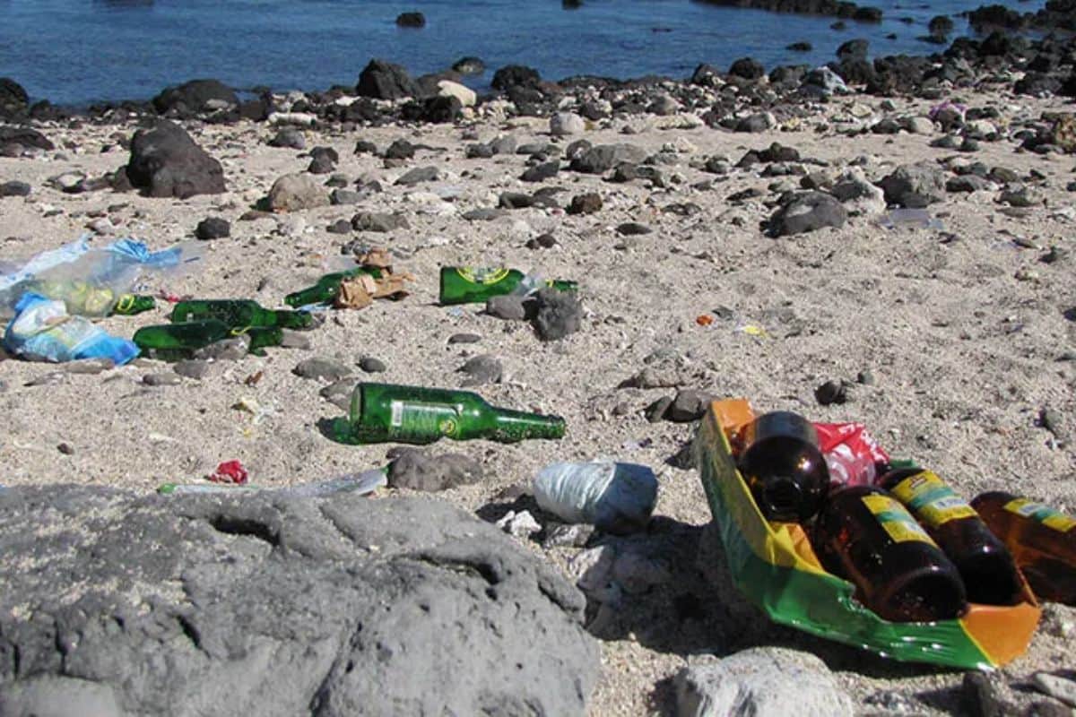 nettoyage de plage