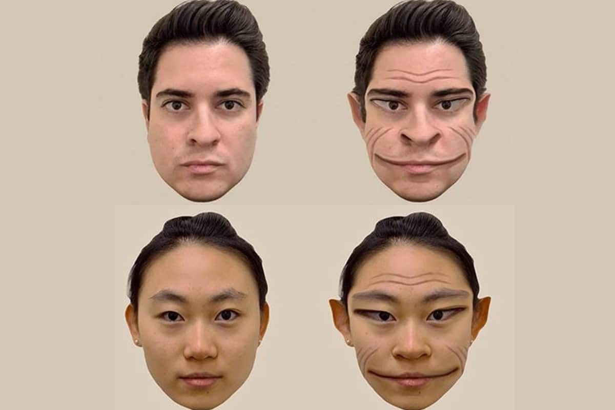 prosopométamorphopsie
