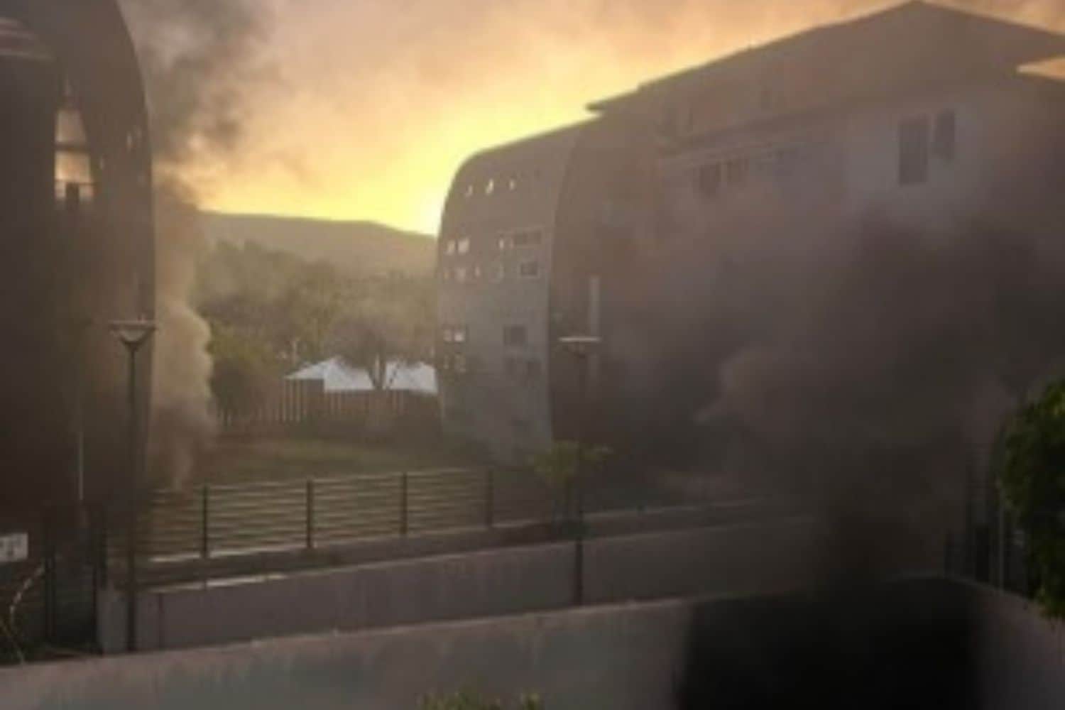incendie bois d'olive