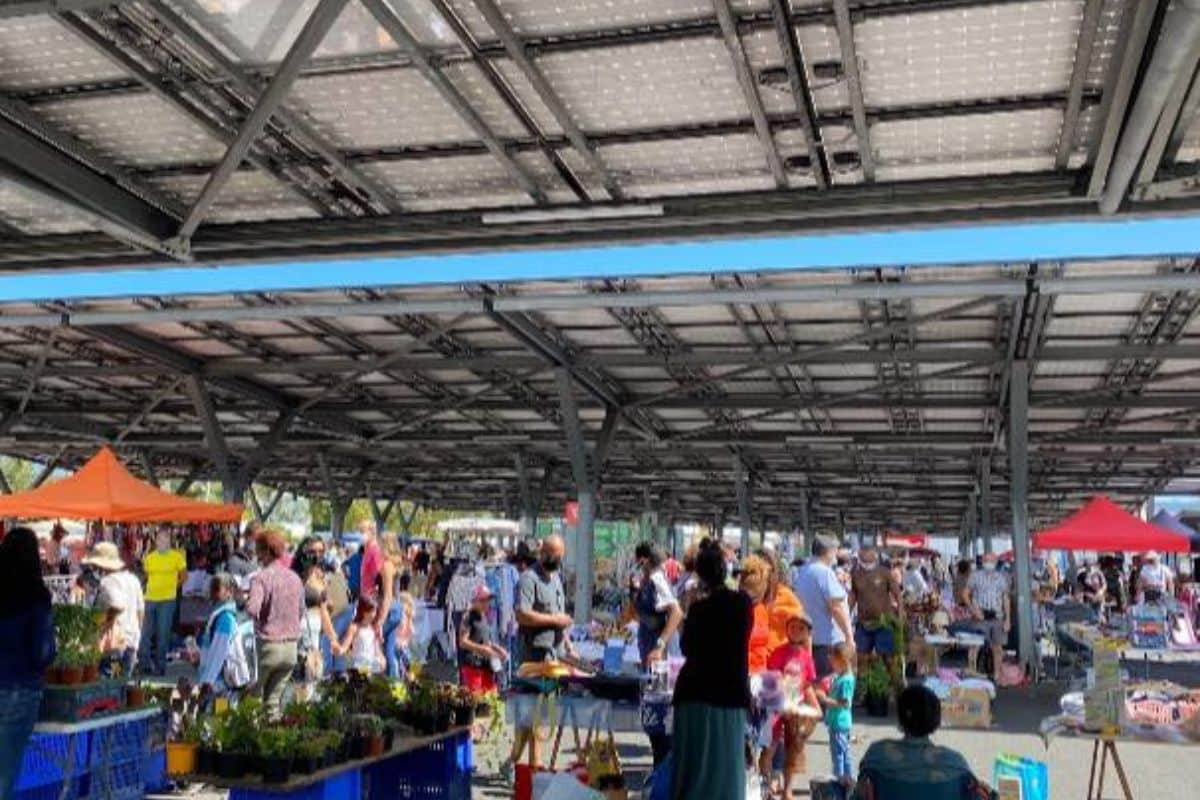 marché savannah