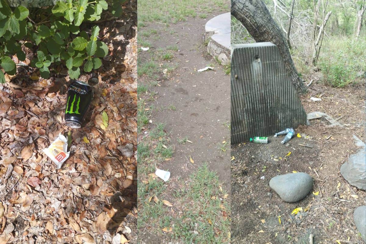 Les déchets dans la forêt de l’Étang Salé un fléau souvent oublié