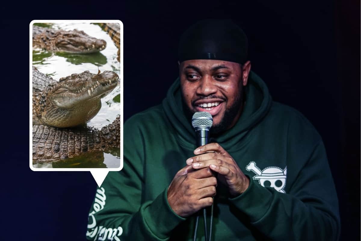 big-s-crocodile