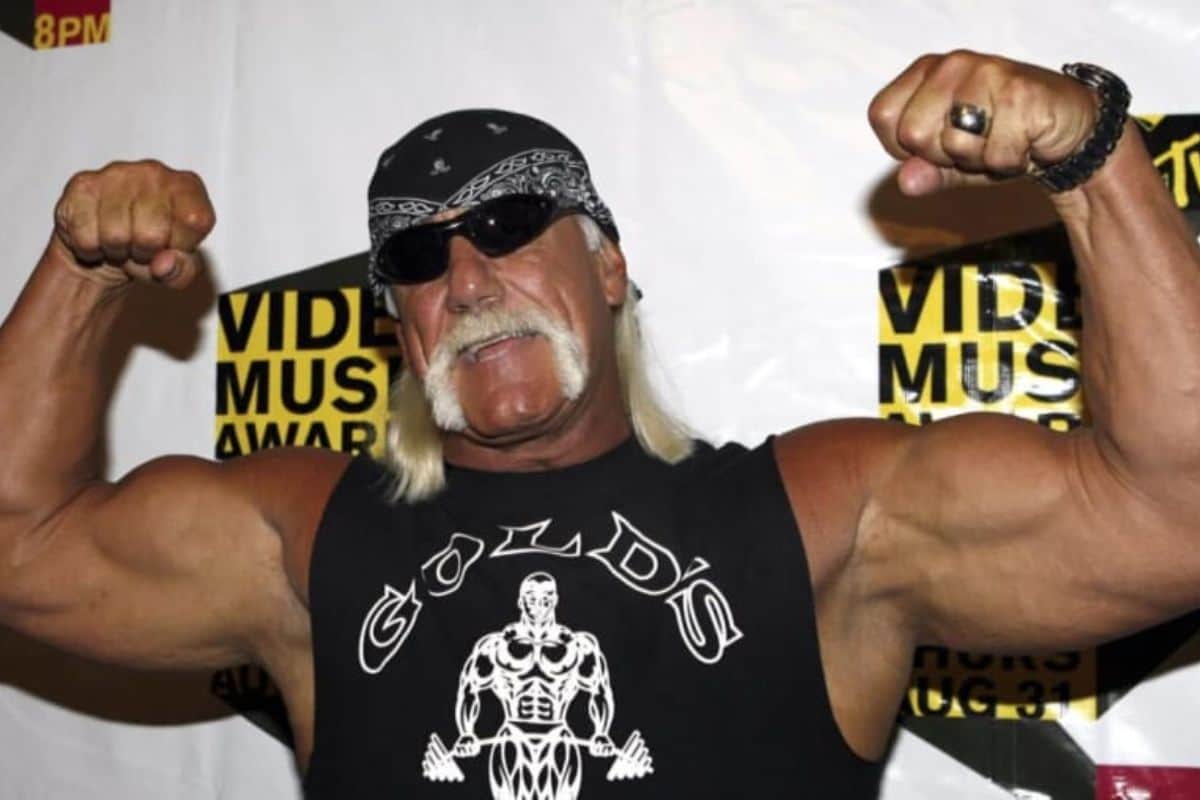 Hulk hogan 2