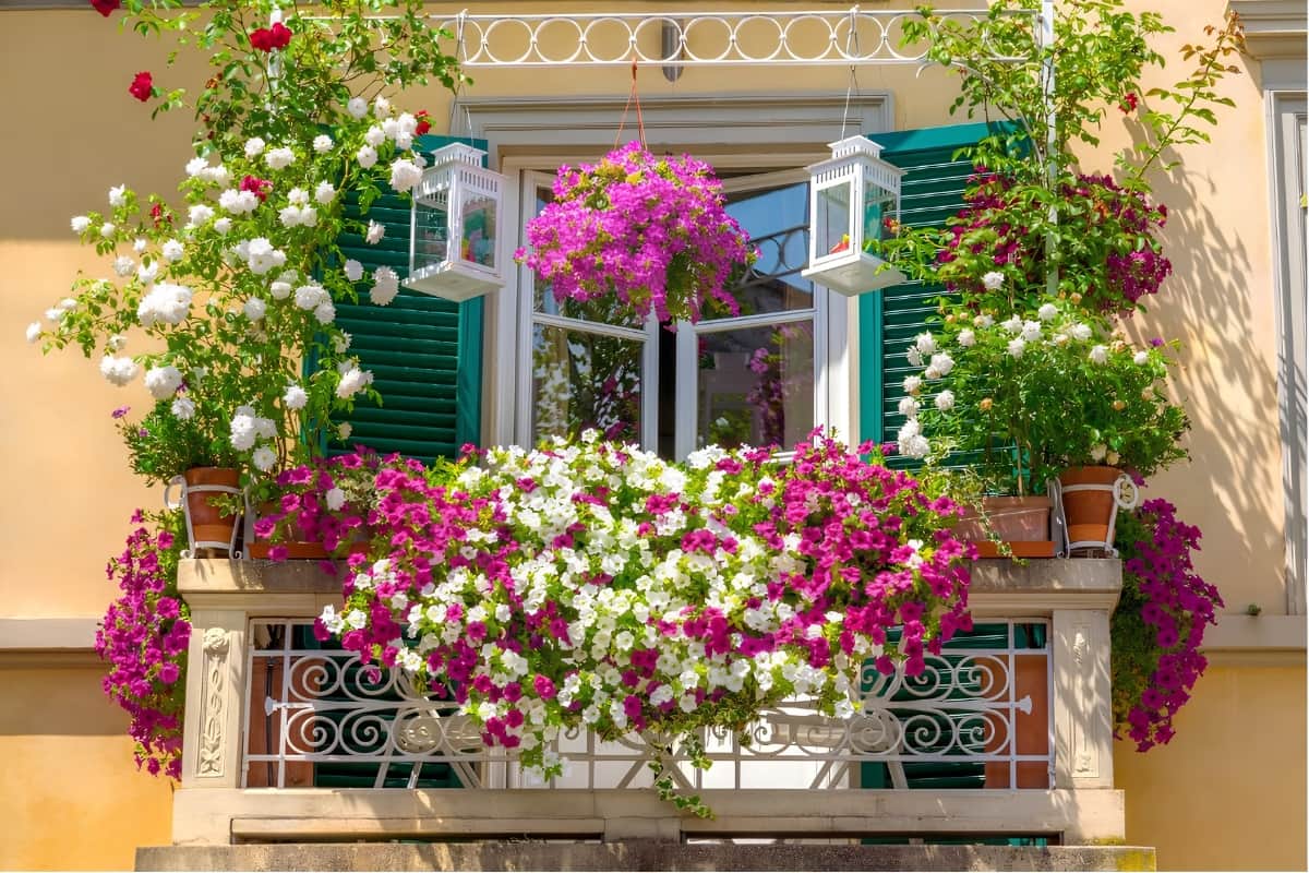 Concours Jardins et Balcons fleuris