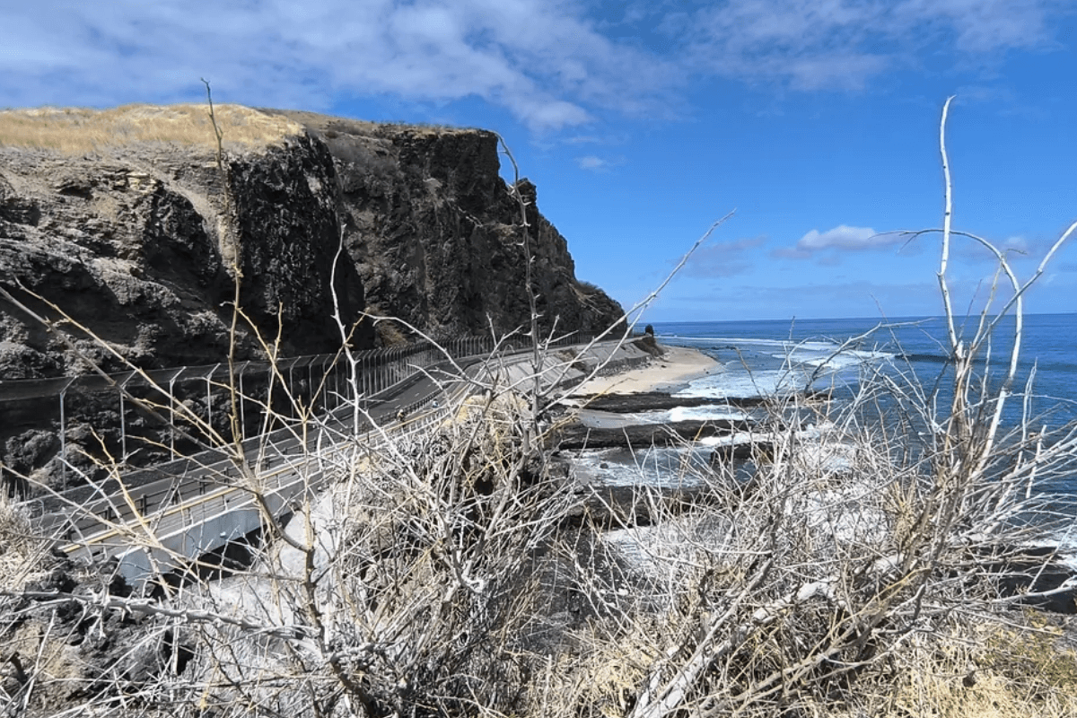 La Réunion face au recul du littoral