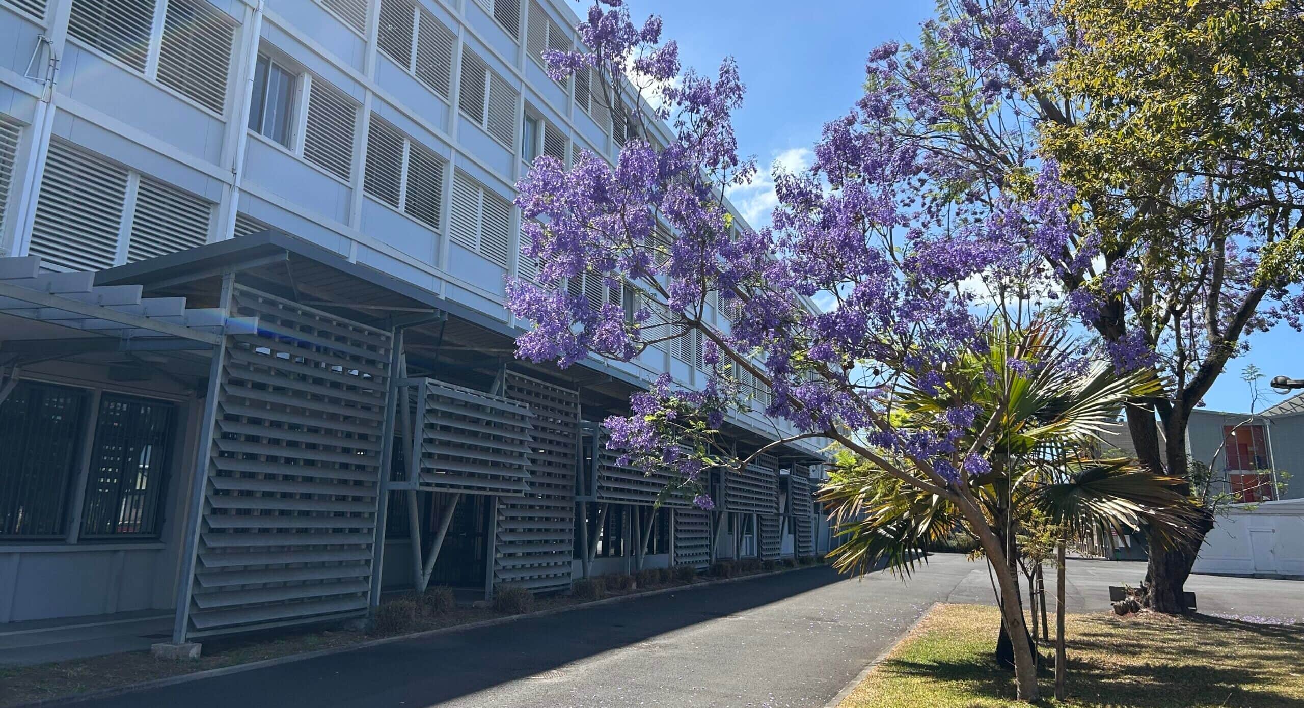 Colère lycéenne : les cours suspendus au lycée Roland Garros jeudi et vendredi