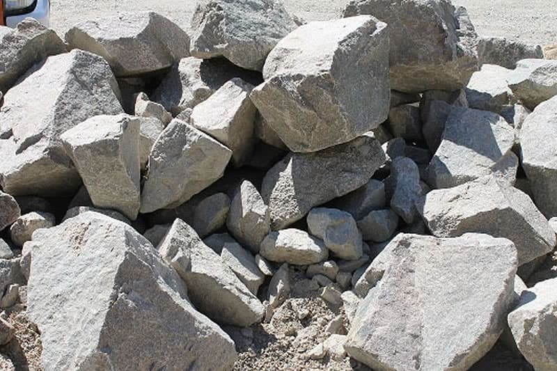 La fièvre de l'or gris frappe La Réunion