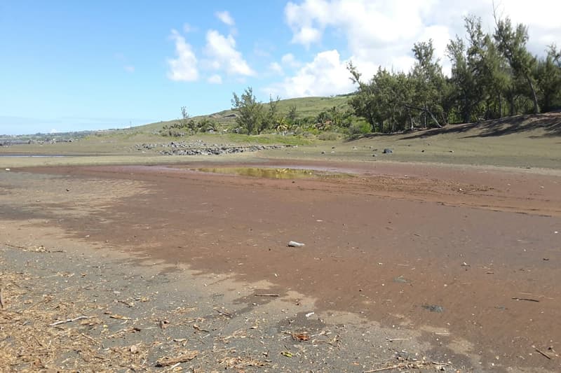 Des nappes de boue sur le sable entre Les Avirons et L'Étang-Salé