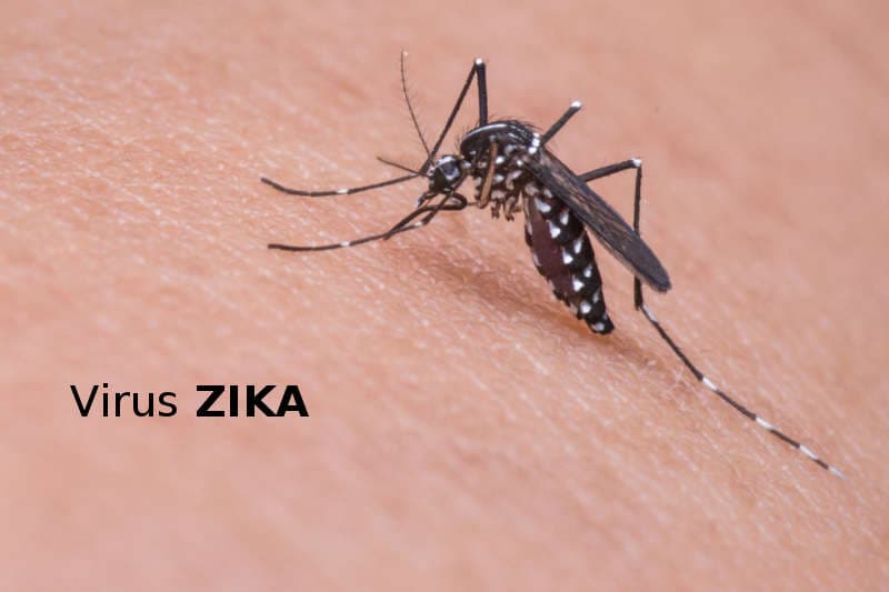 Virus Zika : la polémique enfle après les déclarations enflammées de la ministre de la Santé