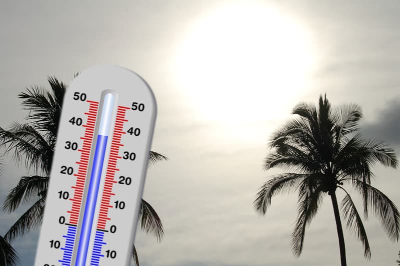 Une température atteignant 43°C à Saint-Denis : un record de chaleur pour La Réunion