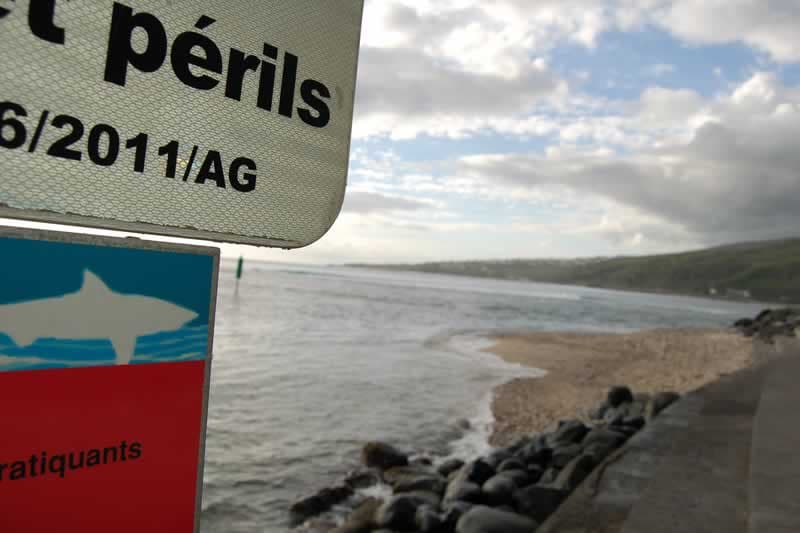 Crise requin : pourquoi les surfeurs continuent de surfer ?