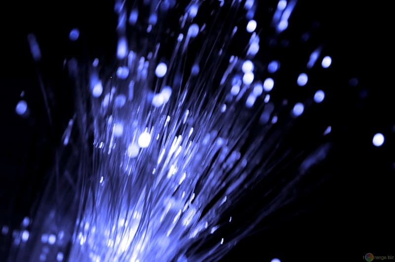 fibre