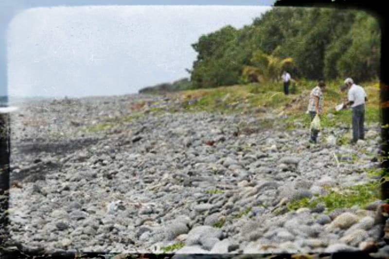 Vol MH370 : la course aux débris devient une obsession