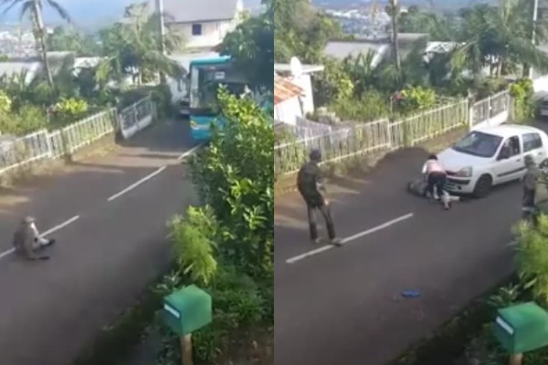 Un gramoune s'allonge sur le sol et bloque la route à l'Étang-Salé les Hauts