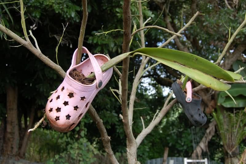 Défiez votre imagination en recyclant à La Réunion !