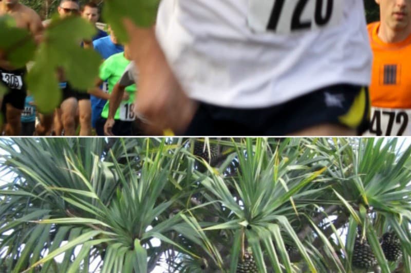 Ne manquez pas le « Cross du Vacoa » : 10km dans le quartier de Basse Vallée