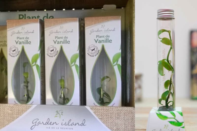 « Garden Island » met la Vanille Bourbon dans un écrin