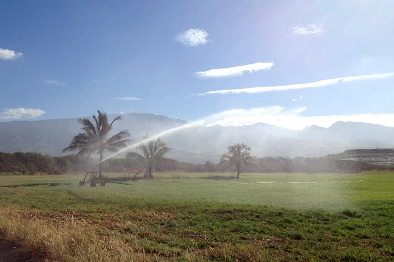 Climat : l’eau se raréfie à La Réunion