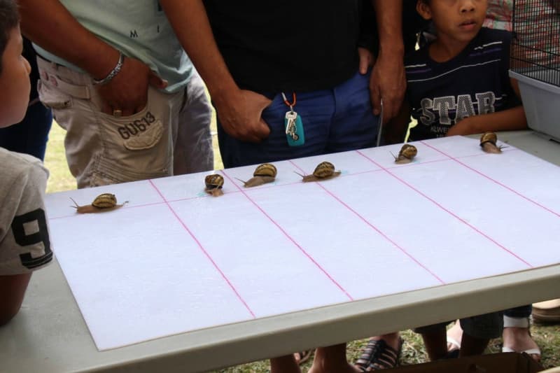 course-d-escargot