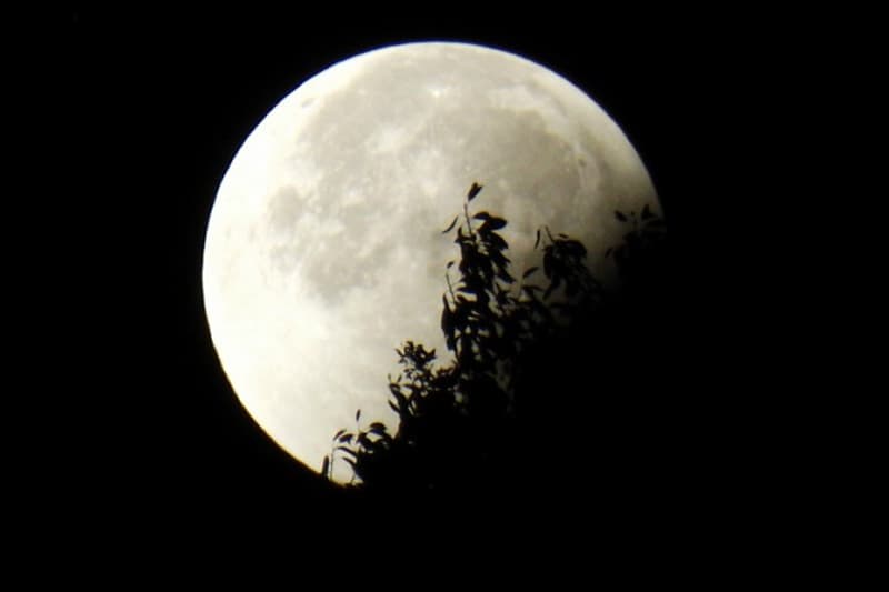 « Super lune » du 14 novembre : un spectacle à ne pas rater