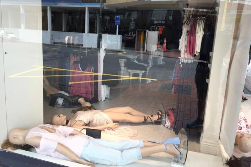 vitrine-nouvelle-zelande