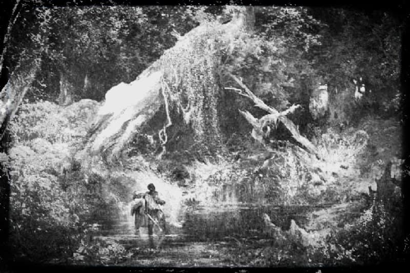 Marronnages à l’Etang Saint-Paul, une balade-créative originale