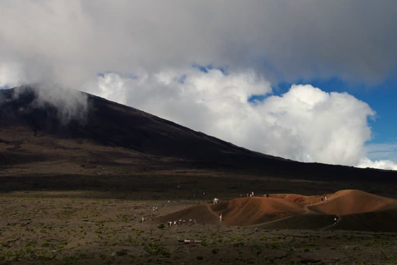 Tourisme : les chiffres du 1er semestre qui fleurissent à La Réunion