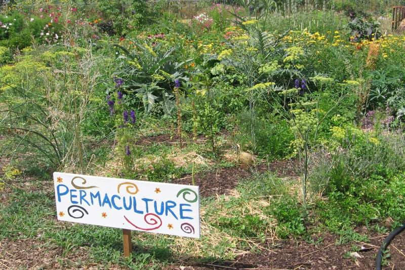 Découvrez la permaculture à La Réunion à travers un conférence