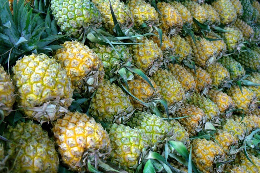 Tourisme : l'IRT mise sur l’ananas Victoria