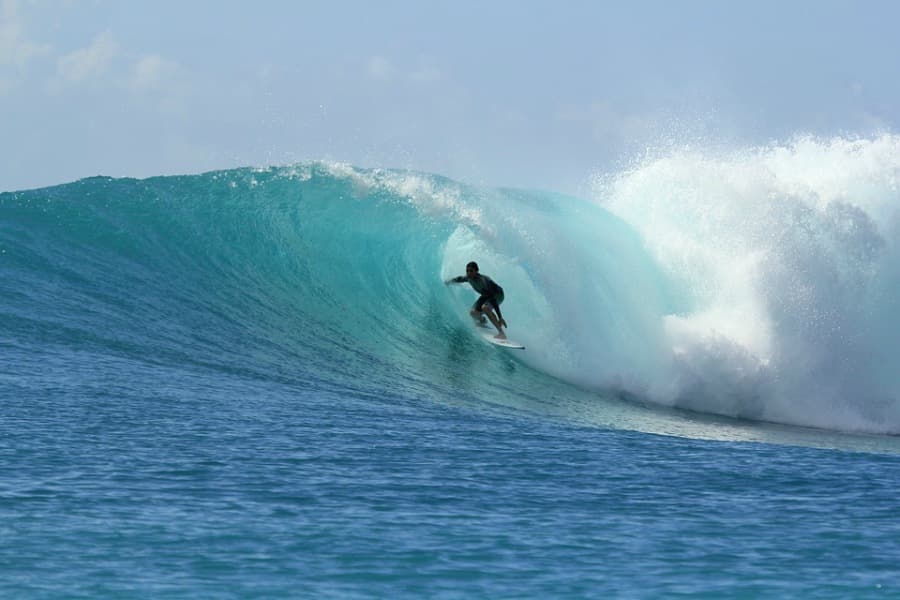 surf