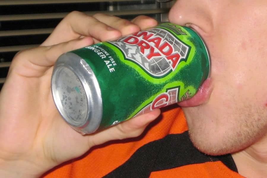 Schweppes, Canada Gry, Giny… faut-il consommer ces boissons contenant de la chloroquine en prévention du Covid-19