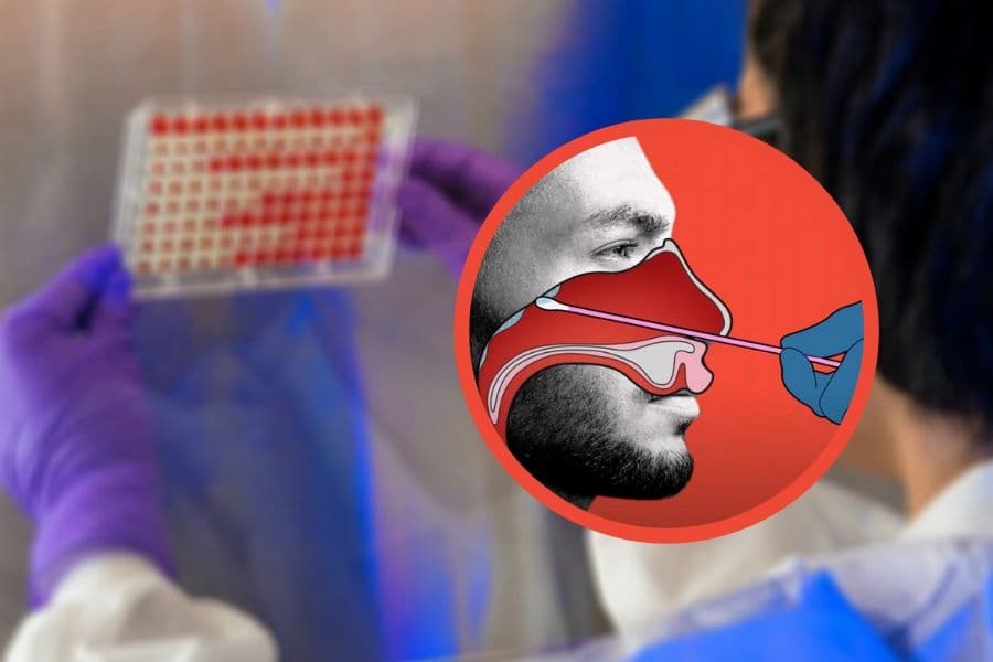 Coton tige dans le nez jusqu'au fond : le Test PCR sensation hard