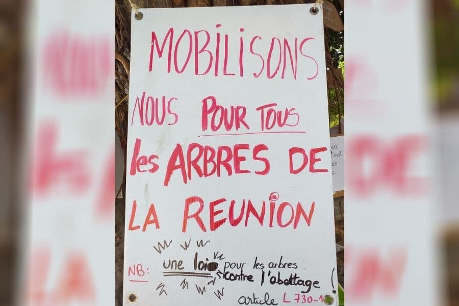 Manapany : « sauvez les arbres ! » le cri de détresse des citoyens