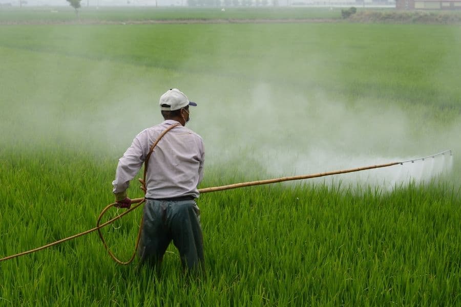 Tribune libre de Bernard PADE : Aux pesticides, préférons la préservation du Vivant