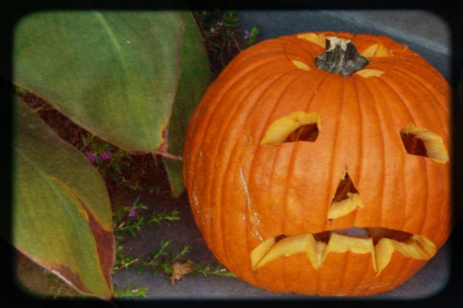 La Réunion : plusieurs mesures s’appliquent à l'occasion d'Halloween
