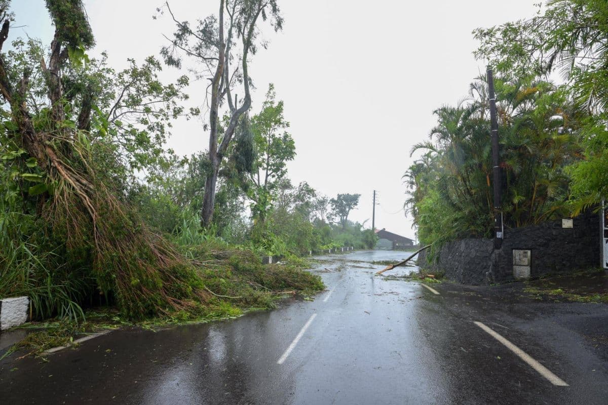 Cyclone Belal : 6 200 tonnes de déchets verts ramassées, mais le travail continue