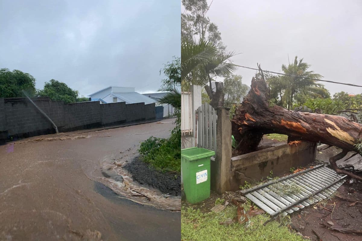 Les fortes pluies à La Réunion : un regard sur l'impact dévastateur dans le sud-ouest