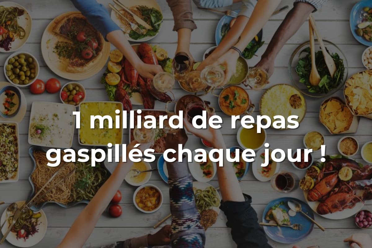 1 milliard de repas gaspillés chaque jour : l'ONU dénonce une "tragédie mondiale"