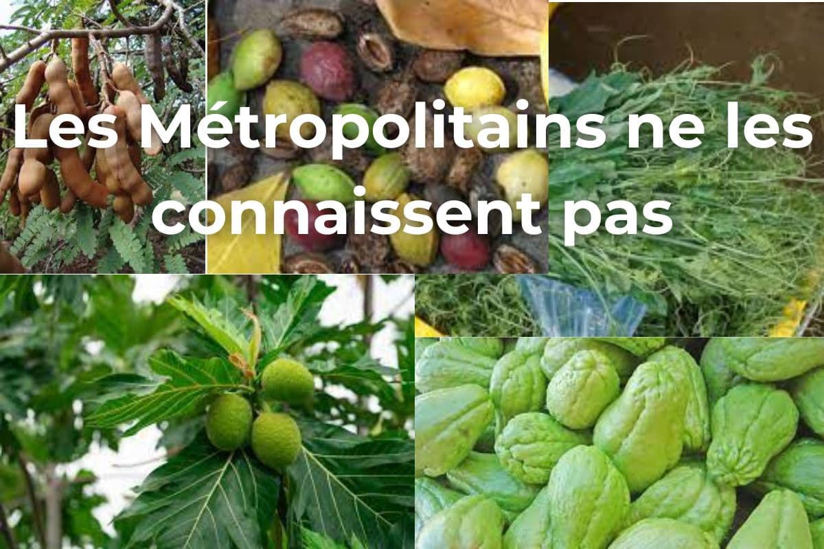 Les 5 fruits et légumes de la Réunion ignorés des Métropolitains