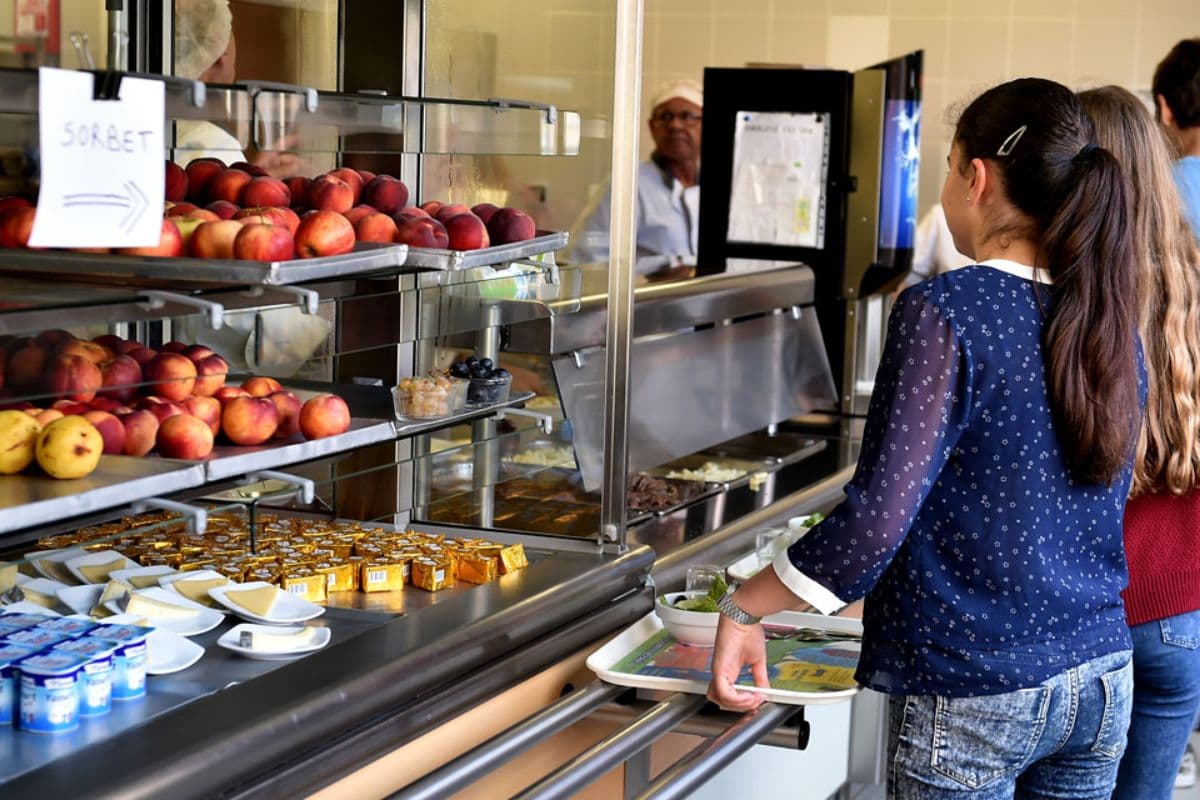 Manger bio à la cantine, oui c'est possible à La Réunion !