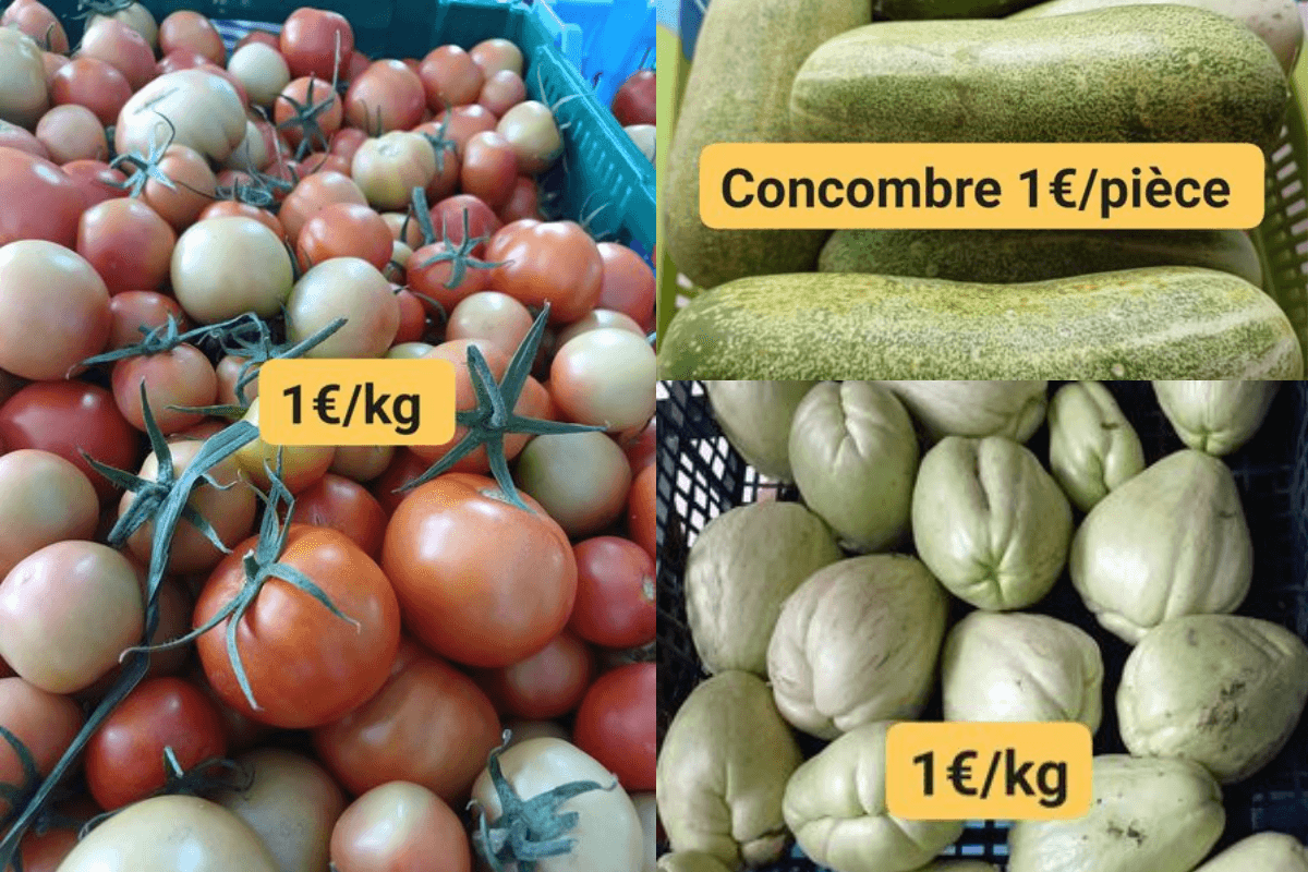 fruit et legume pas chers