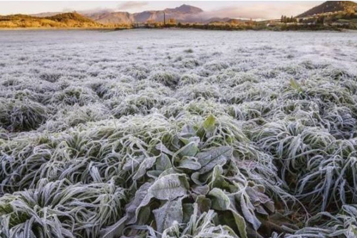 Chute des températures : La Réunion se prépare à l'arrivée de l'hiver austral