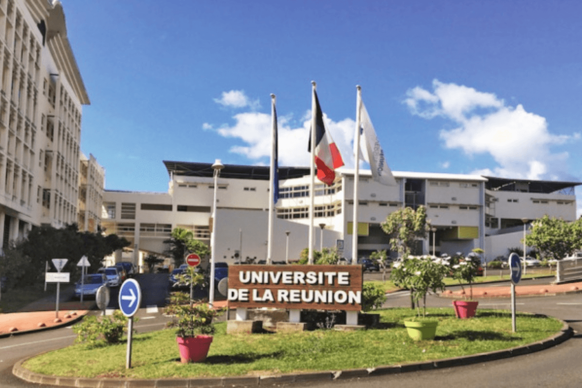 Un nouveau diplôme « Ingénierie de projets européens dans les Outre-mer (IPEDOM) » proposé aux étudiants réunionnais à la rentrée Candidatez avant le 31 mai 2024